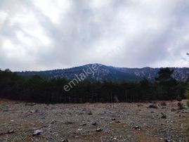 Kar Emlaktan Yenikonacık Bozkırlı Mevkiinde 400 M2 İmarlı İfrazlı Satılık Arsa