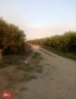 Aki Gayrimenkul Den Tek Tapu / Yenidam / 270 Dönüm / Tarla Bağ Bahçe Çiftlik / İcarada Olur