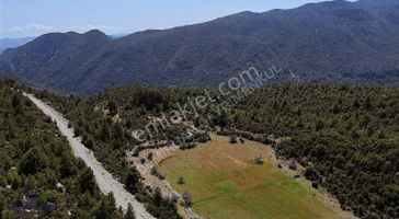 Kaş Hacıoğlan, Yatırımlık Arazi
