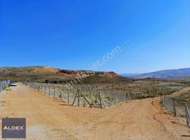 Ayaş Başayaş 300m2 Satılık Hobi Bahçesi Elektrik Su Mevcuttur