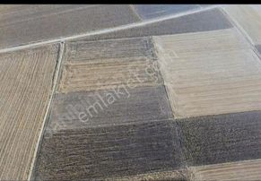 Kırklareli Pınarhisar Kaynarca Akarlar 12930m2.tek Tapu Kadastrol Yola Cepe Zirve Konumda Düz Arazi