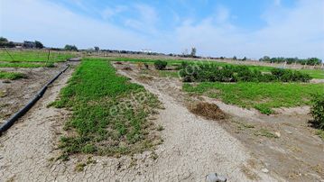 3 Ev Emlak'tan Gülbahçesi Mahallesinde 7 Dönüm Satılık Tarla