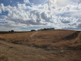 Sahibinden Ömerli 48. Sokak 657 M2