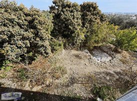 Wom Dan Kargıpınarında Satılık Müstakil Ev Altı Depo