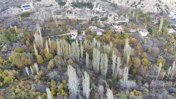 Karaman / Ermenek / Elmayurdu Mahallesinde 234 M² Müstakil Tapulu Bahçe