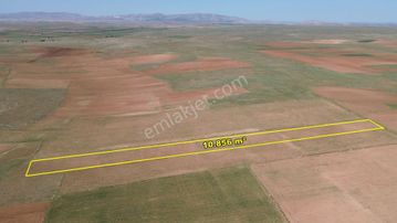 Konya / Akören / Orhaniye Mahallesinde 10.856 M² Müstakil Tapulu Tarla
