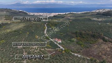 Bursa Mudanya Aydınpınar Asfalt Cephe Deniz Manzaralı