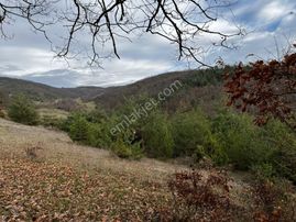 Akgün Kurumsal'dan Çakallı'da Satılık 5415 M2 Tarla