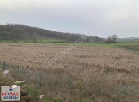 İzmit Yenice Mahallesi'nde 5464m2 Satılık Tarla