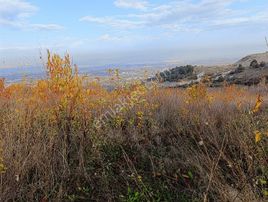 Safir Gayrimenkul Danışmanlık