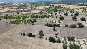 2.638 M² / Konya / Beyşehir / Yenidoğan / Tarla