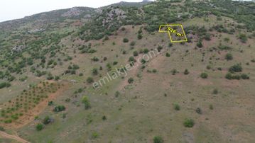 Güneysınır Gürağaçda 926 M2 Müstakil Tapulu Bağ