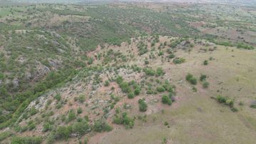 Güneysınır Gürağaçda 2.272 M2 Müstakil Tapulu Bağ
