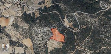 Durasıl' Da Satılık Zeytinli Tarla