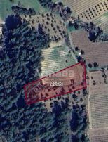 Kuşadası Kirazlı'da Satılık Tek Tapu Tarla