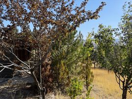 Müstakil Evli 770 M İmarlı Arsa Elektrik Su Var