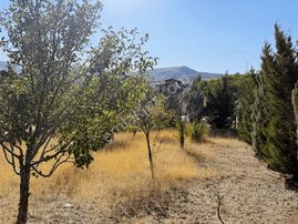 Müstakil Evli 770 M İmarlı Arsa Elektrik Su Var