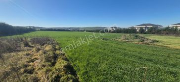 Çatalca Çakıl'da, İyi Konumda, İçinde 100 M² Yapı, %15 Yapı İzni