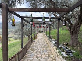 Şirince'de Fırat Kiralik