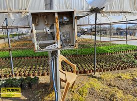 İzmir Ana Yola Sıfır Zeytinlik