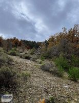 Hanpaşa Mh Satılık 50 Dönüm Tarla