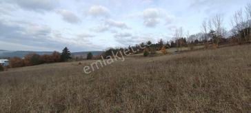 Bursa Nilüfer'e 20 Dakika Mesafede Ortaköyde Satılık Tarla