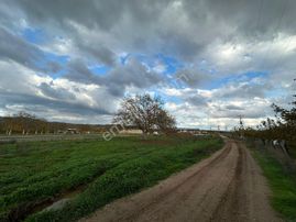 Dialog Altun'dan Yenişehir/barcın 3731 M2 Tarla