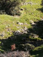 Sahibinden Uygun Fiyatlı Arazi