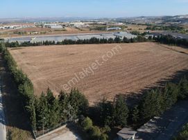 Çatalca Ferhatpaşada 243.996 M² Ticari İmarlı Satılık Arsa