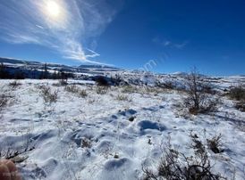 Hasancı'da 1230m2 Uygun Fiyatlı Bağ