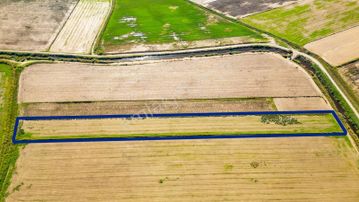 Foça Yenibağarası Mahallesinde Satılık Tarla