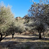 Derbentte Villa İmarlı Köşe Satılık Arsa