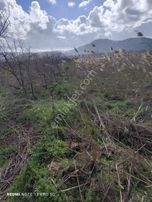 Selçuk'ta Satılık Tarla