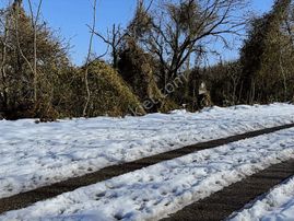 Özgür Emlaktan Full Deniz Manzaralı Arazi