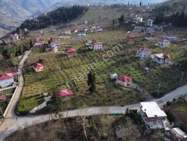 Trabzon Armağanda Satılık Düz Arazi