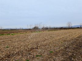 4.018 M² Satılık Tarla Konteyner Ve Yapı Kayıt Belgeli