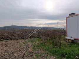 4.018 M² Satılık Tarla Konteyner Ve Yapı Kayıt Belgeli