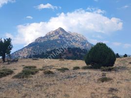 Kar Emlaktan Hamidiye Köyünde 460 M2 Satılık Arsa