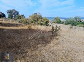 Çatalca Binkılıç'ta Yatırımlık 988 M2 Tarla