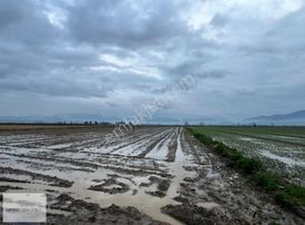 Atalan'da Kadastro Yolu Olan Tarım Arazisi!!!