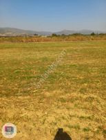 İzmir Tire Müstakil Satılık Tarla