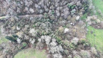 Dereköy'de 1038m2 Deniz Manzaralı %5 İmarlı Parseller!