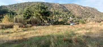 Bodrum Yalıçiftlik 4932 M2 Turizm İmarlı Arsa