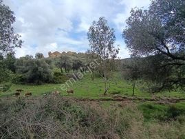 Foça Fevzipaşa Mah. Satılık 2183m2 Arsa