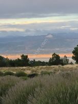 Isparta Keçiborlu Da Lavanta Tesisi 4500 M2