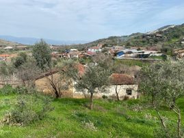 Aydın Dalama Mahallesin'de Satılık 1620 M2 Bahçe Evi
