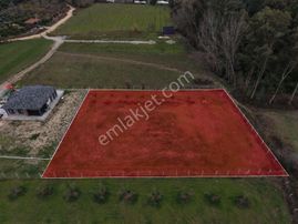 Bahtılı'da 2500m2 Elektrik Suyu Mevcut Arsa