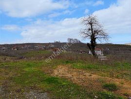 Sakarya Kocaali Kozluk 511 M2 Manzaralı Muhteşem Arsa