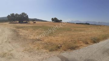 🌿 Dıdım Akköy Mahallesinde Göl Manzaralı Satılık Tarla 🌿