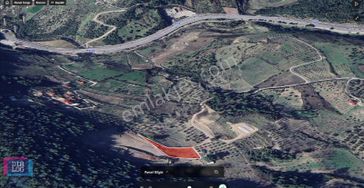 Karaçam'da Manisa Yoluna Yakın Tarla